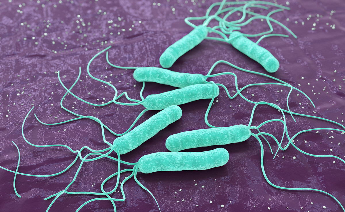 Seolann Babio Filariasis IgG/IgM Kit Tástála Mear chun Tacú le Diagnóis Galar Filarial Domhanda
