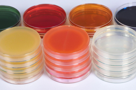 Ardcháilíocht Sapouraud Dextrose Agar (SDA) le Babio