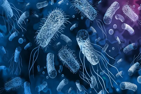 Seolann Babio trealamh braite antaiginí tapa vibrio cholerae