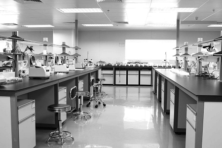 Babio Salmonella Shigella Agar: Meán iontaofa do shábháilteacht bia agus diagnóisic chliniciúil