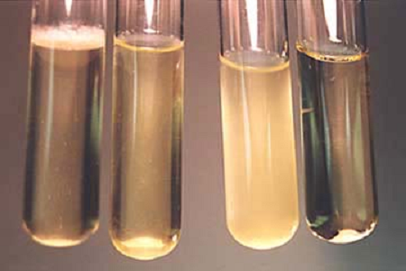 Seolann Babio Brat Insileadh Croí Inchinne Ardfheidhmíochta do Shaotharlanna Domhanda Micribhitheolaíochta