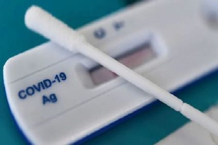 Tugann BABIO Swab Steiriúil Nasopharyngeal Ardfheidhmíochta isteach le haghaidh Sampláil Diagnóiseach Iontaofa Le héileamh domhanda ag ardú