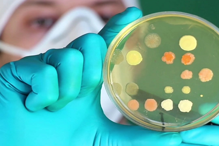 Seolann BABIO Préimh Trypticase Soy Broth (TSB) le haghaidh Micribhitheolaíocht Chliniciúil & Lab Domhanda
