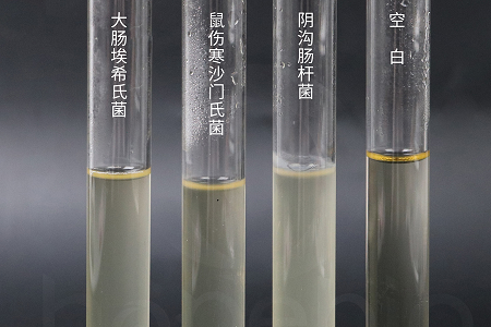 Seolann Biteicneolaíocht Babio Ardfheidhmíocht Brat Insileadh Croí Inchinn le haghaidh Saothrú Miocróbach Iontaofa