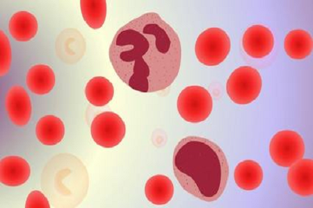 BABIO Salmonella Shigella Iompar Meánach do Shaotharlanna